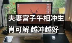 夫妻宫子午相冲的生肖解析：越冲越好！