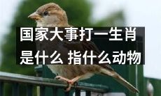 什么动物在国家大事上扮演重要角色？探究生肖在国家事务中的意义