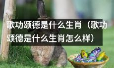 「请问，哪些生肖常常表现出歌功颂德的行为举止？」