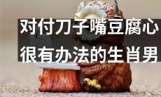 如何处理那些言辞刀枪不入,但内心柔软的属相男子?