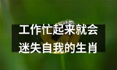 在忙碌的工作中迷失自我的十二生肖星座分析