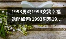 如何让1993年出生的男鸡和1994年出生的女狗的婚配获得幸福？