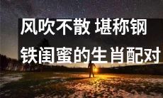 铁杆姐妹！风吹不散的生肖最佳搭档，他们的友谊坚如钢铁！