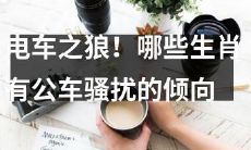 哪些生肖具有公共交通工具骚扰倾向?揭秘电车之狼现象背后的星座因素!