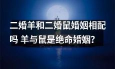 二婚羊与二婚鼠：婚姻是否能够相容？或许羊与鼠是注定绝缘的配对关系？