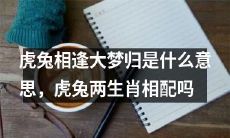 虎兔相逢大梦归的寓意与象征，探究虎兔两生肖是否相互匹配的奥秘