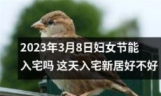 2023年国际妇女节日入宅是否吉利？值得考虑此日搬新居的吉凶问题