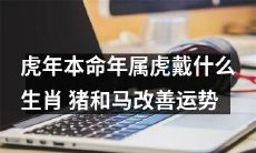 属虎的人在虎年本命年需要戴哪些生肖饰品以增强运势?同时,马和猪的存在能够为属虎的人带来怎样的运势改善?