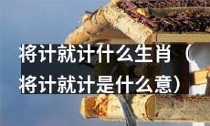 使用策略：运用同义词替换、扩充关键词及形容词