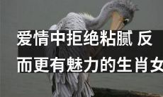 拒绝烦人的粘腻在恋爱中更具魅力的十二星座女性