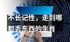 记性不佳,无论走到哪里都容易遗失物品的十二生肖