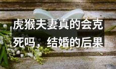 结婚后,虎猴夫妻是否真的会遭遇克死的现象?探寻这一婚姻现象的后果和影响