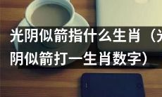 光阴流逝如箭，揭示哪些生肖随岁月变幻（以数字呈现的光阴似箭生肖）