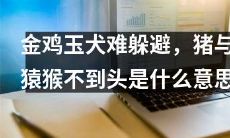 无法避免的金鸡玉犬，绵延不绝的猪与猿猴，这个谚语的真正含义是什么？