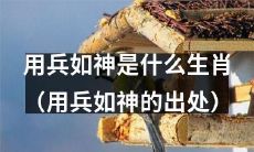 出自经典兵书《孙子兵法》的用兵如神，是哪个生肖的特质所在？