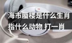 通过识别海市蜃楼的生肖指代，猜测其隐喻的动物更确切的幸运号码