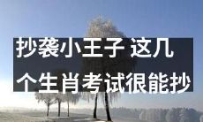 如何在生肖考试中成功抄袭，借鉴小王子的经验？