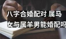 通过八字合婚分析:作为马和羊的女男配对,究竟能否搭配成婚姻之路?