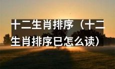 如何按照十二生肖的顺序排序（如何念“巳”字）？