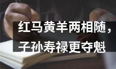 红马黄羊双双同行，继承者将登上寿禄之巅夺得第一？
