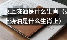 哪些动物属于火上浇油的生肖？