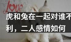 虎兔同处，大家难逃劫数？探究二者爱情经历与身世，揭密此搭配的利弊得失