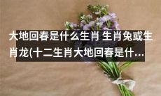 究竟是生肖兔还是生肖龙，代表着大地回春的十二生肖？