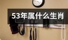 在中国十二生肖中,53岁的人应该属于哪个生肖?
