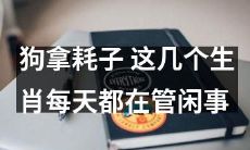 狗年代表的生肖，拿耗子，连“闲事”都不让过！