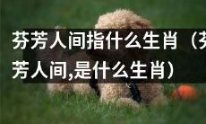 探究芬芳人间所代表的生肖是哪一个？