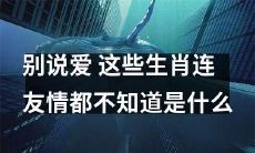 这些生肖对友情一无所知，更不要指望他们懂得什么是爱