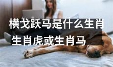 究竟是横戈跃马的生肖是哪个呢?是生肖虎还是生肖马?