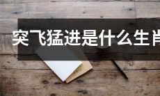 哪一生肖在生活和工作中经常表现出快速进步和突出表现的特点？