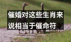 催婚对以下这些生肖来说，类似于放置着具有致命力量的催命符！