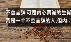 尽管不擅长表达，但内心真诚至深的十二生肖