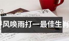 如何选出一个最佳生肖,能够呼风唤雨能打天下?