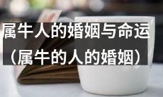 属牛人的婚姻：命运中的重要元素
