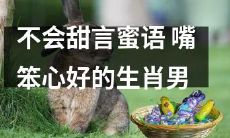 以善良为本，不谙巧言令色——以心善而言拙的生肖男