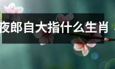 十二生肖之一的夜郎自大是什么意思？