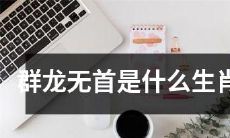 群龙无首代表的是哪个生肖呢？