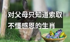 缺乏感恩心态，只懂索取的某个生肖在与父母相处中存在的问题