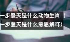 了解一下:一步登天是哪个生肖,其意义是什么?