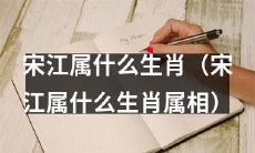 宋江的属相是什么？他是属于哪一个生肖的？