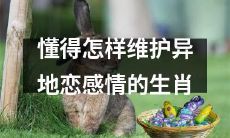 十二生肖中，哪些能更好地维护异地恋的爱情？