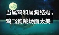 当属鸡和属狗喜结良缘：鸡飞狗跳情景之美，令人叹为观止！