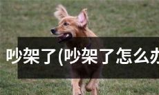 当两人争执不下时，该如何处理和解决其吵架问题？