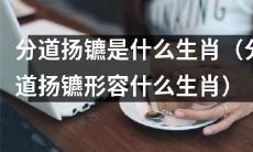 哪些生肖适合用“分道扬镳”来形容其性格特点?