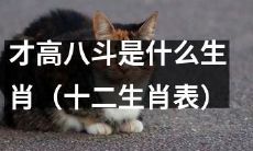 哪个生肖代表着才华横溢、博学多才的“才高八斗”特质（十二生肖清单）？