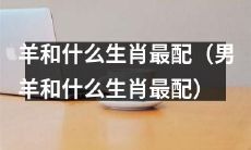 探讨羊和各生肖的姻缘：男羊最适合与哪个生肖搭配？