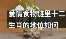 在爱情食物链中，十二生肖所代表的地位在恋爱世界中究竟如何？